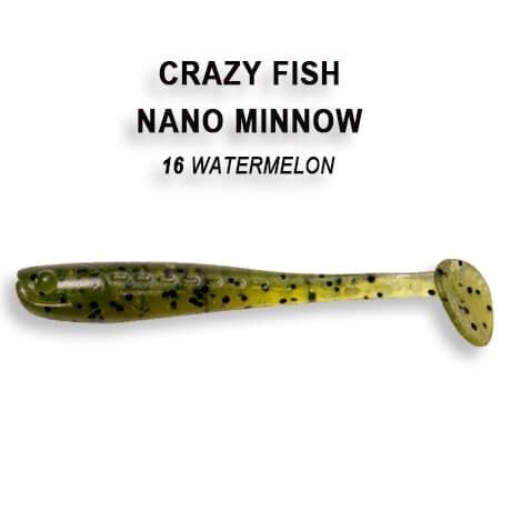 Nano minnow 1.6" 6-40-16-6