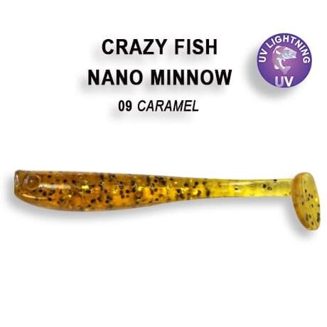 Nano minnow 1.6" 6-40-9-6